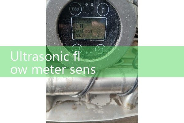 ultrasonic flow meter sensor